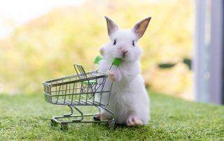 Bunny with a shopping cart